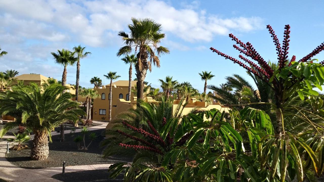 Apartamento Casa Ilaria Fuerteventura -Wifi free Corralejo Exterior foto